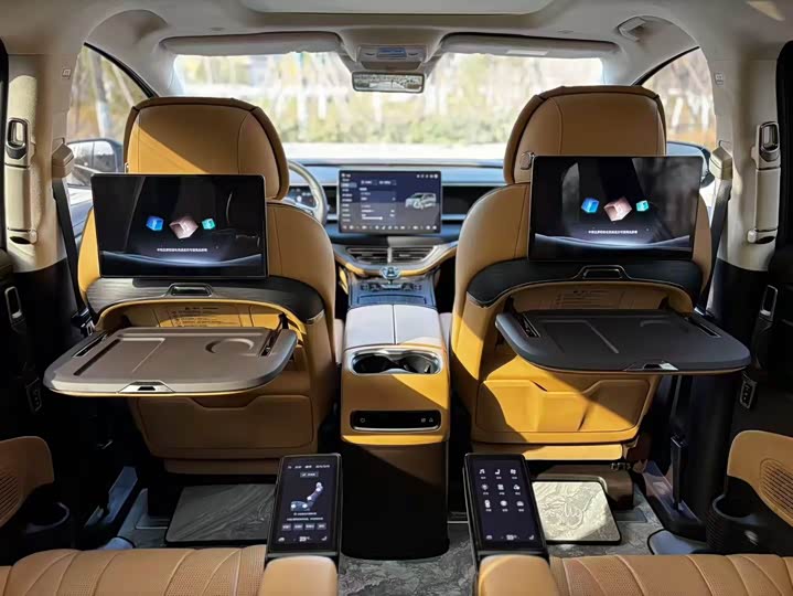 Фото 6 - Denza D9