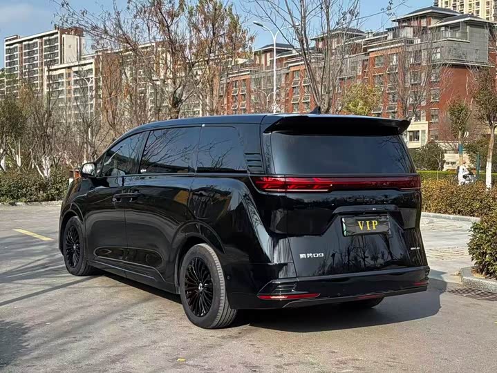 Фото 7 - Denza D9