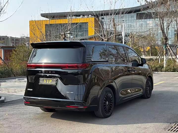 Фото 9 - Denza D9