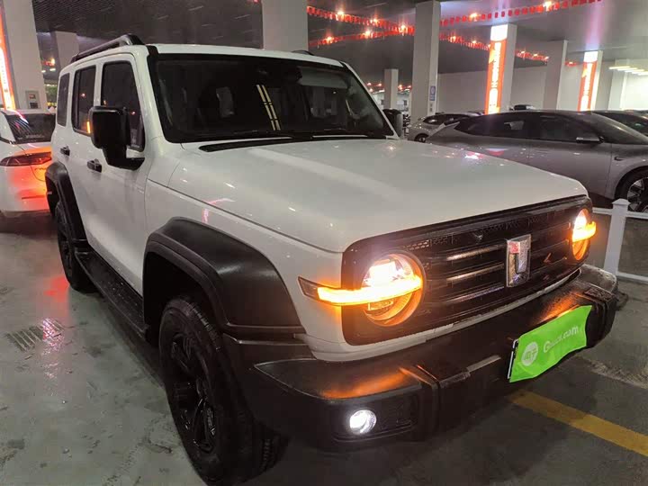 Фото 4 - Tank 300