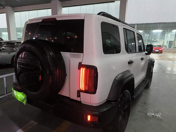 Фото 7 - Tank 300