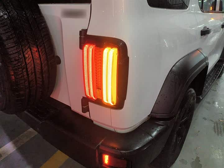 Фото 8 - Tank 300