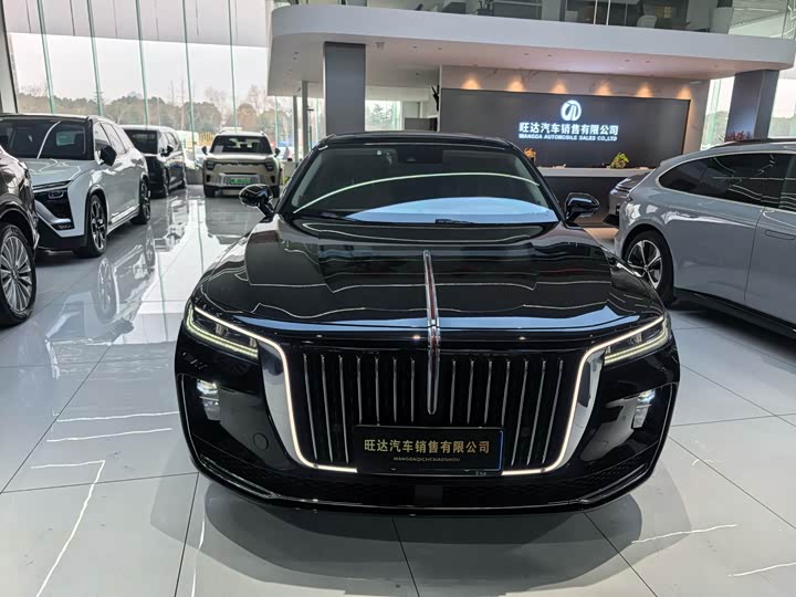 Фото 2 - Hongqi H9