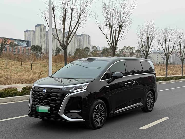 Фото 1 - Denza D9