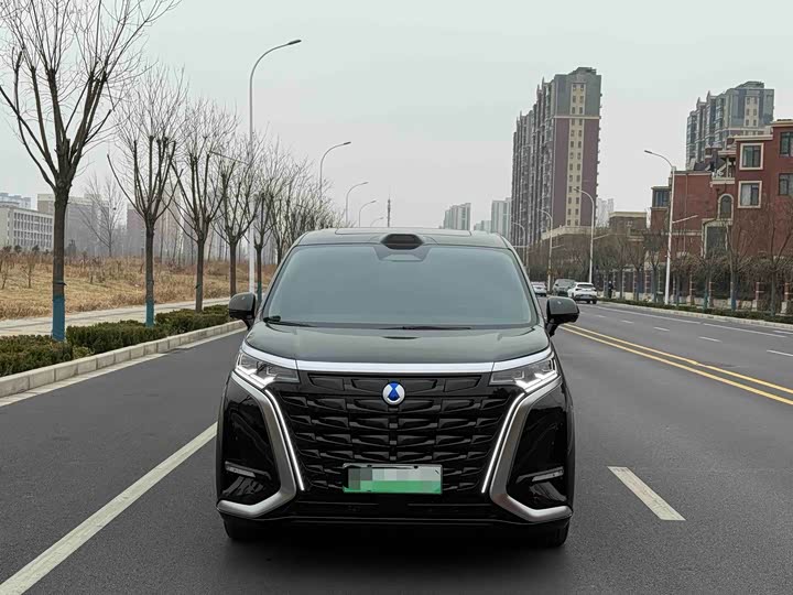 Фото 2 - Denza D9