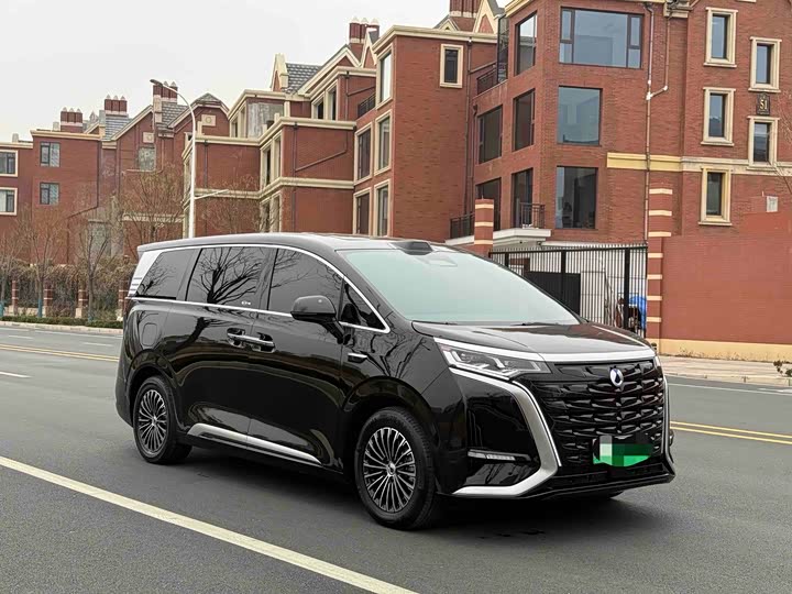 Фото 3 - Denza D9