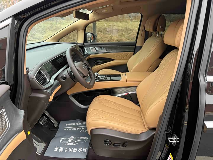 Фото 4 - Denza D9