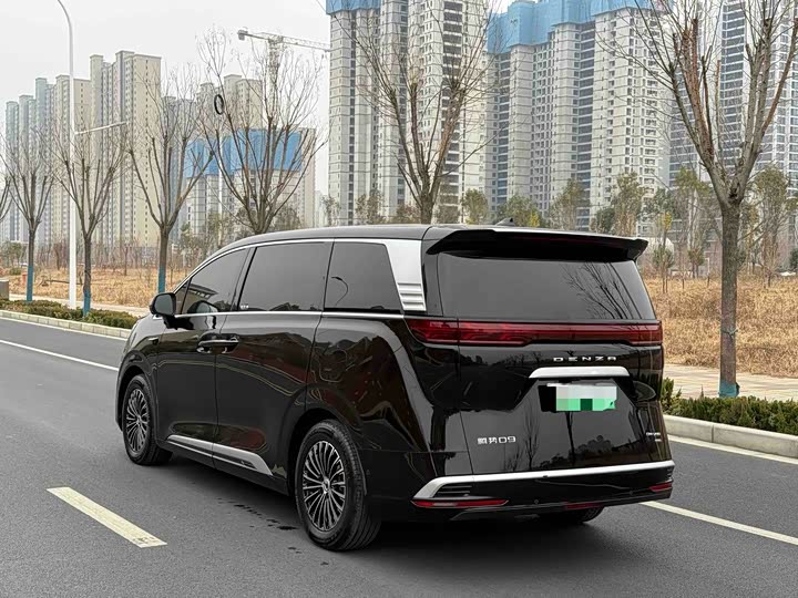 Фото 7 - Denza D9