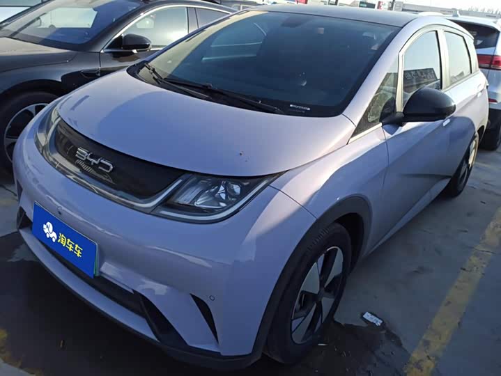 Фото 1 - BYD Dolphin