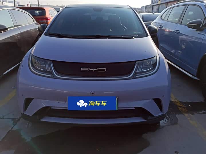Фото 2 - BYD Dolphin
