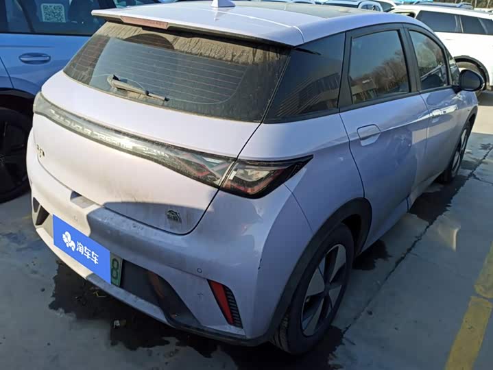 Фото 3 - BYD Dolphin