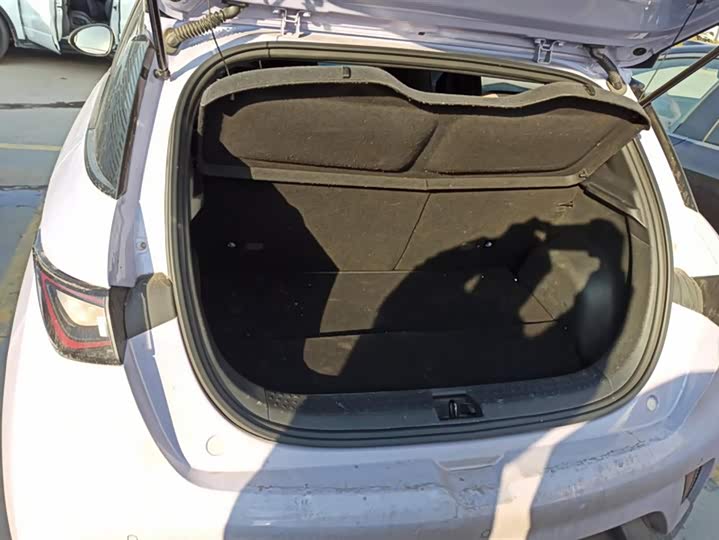 Фото 4 - BYD Dolphin