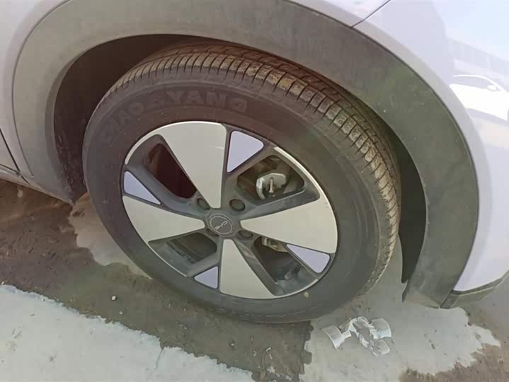 Фото 6 - BYD Dolphin