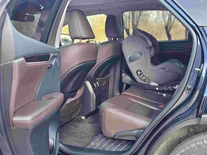 Фото 6 - Lexus RX