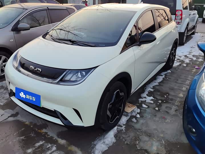 Фото 1 - BYD Dolphin