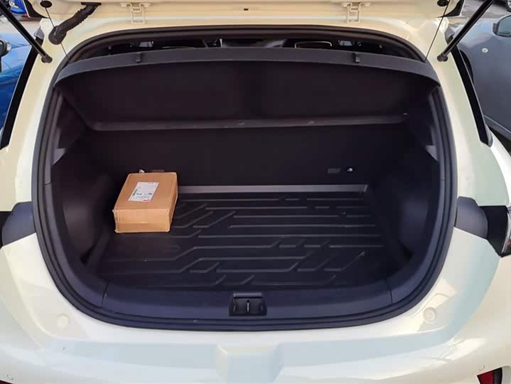 Фото 4 - BYD Dolphin