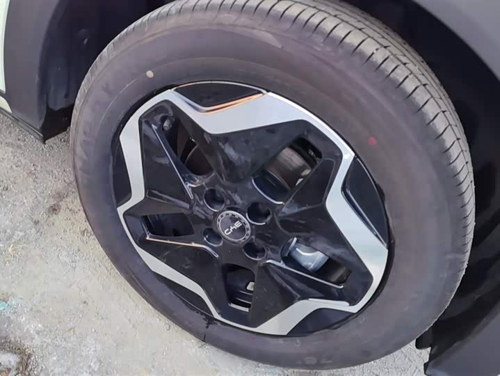 Фото 6 - BYD Dolphin