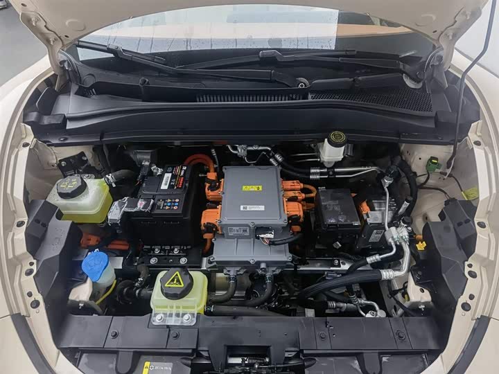 Фото 6 - Ora Good Cat (03)