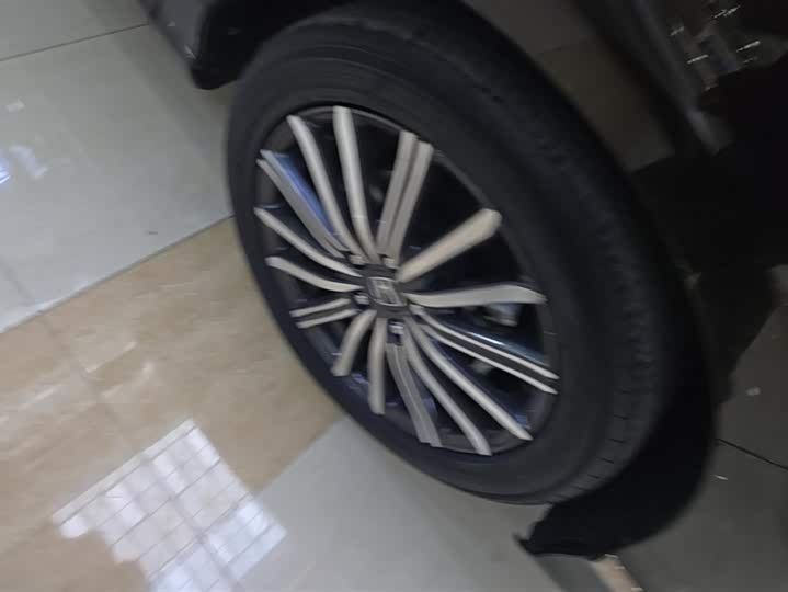 Фото 6 - Honda Elysion