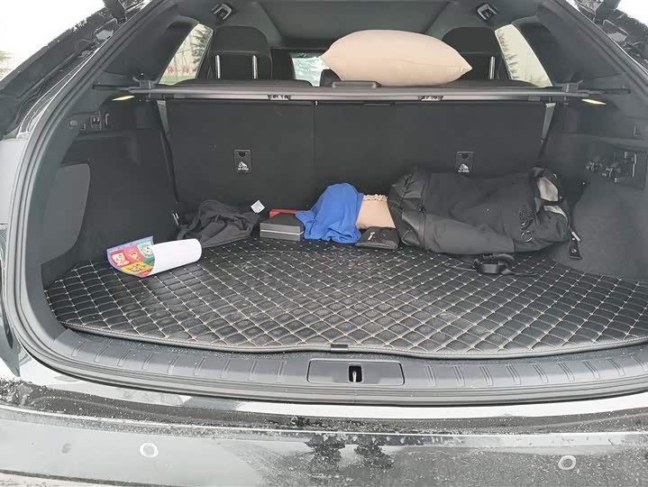 Фото 4 - Lexus RX