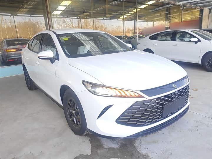 Фото 4 - BYD Qin Plus