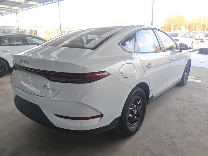 Фото 7 - BYD Qin Plus