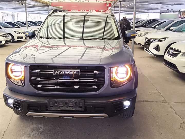 Фото 3 - Haval Dargo