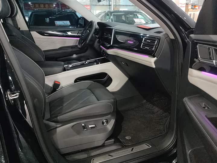 Фото 8 - Volkswagen Teramont Pro