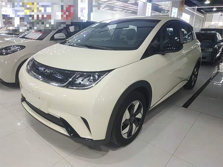 Фото 2 - BYD Dolphin