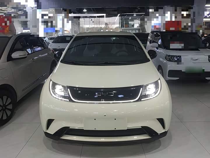 Фото 3 - BYD Dolphin