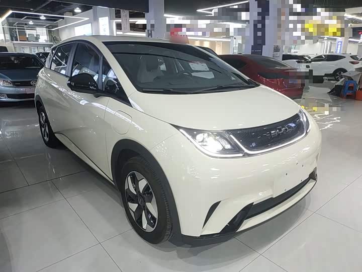 Фото 4 - BYD Dolphin