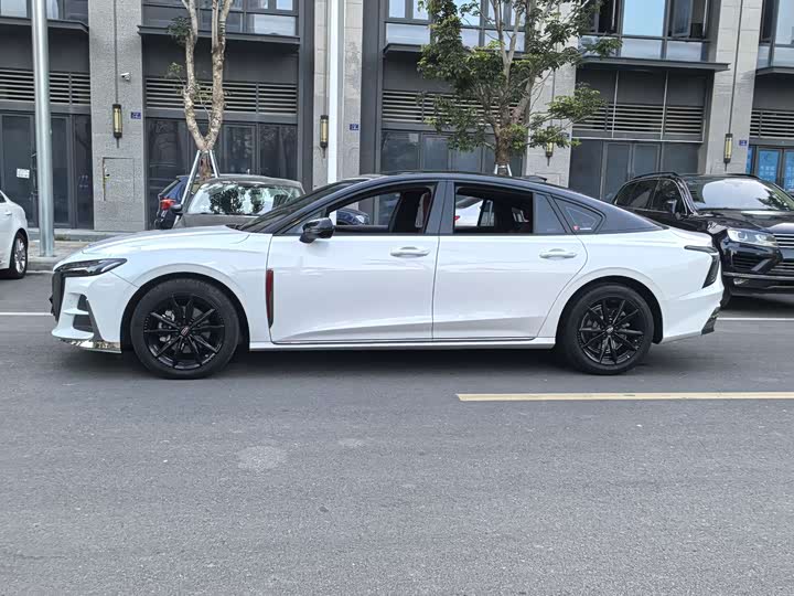 Фото 4 - Hongqi H6