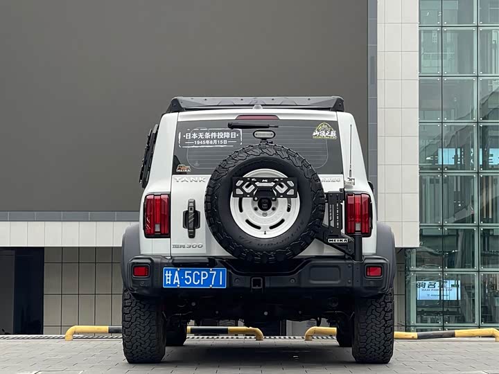 Фото 4 - Tank 300