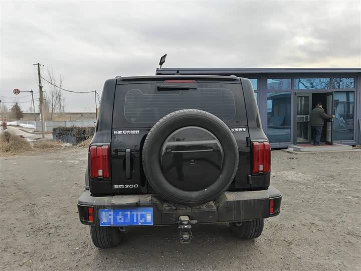 Фото 5 - Tank 300