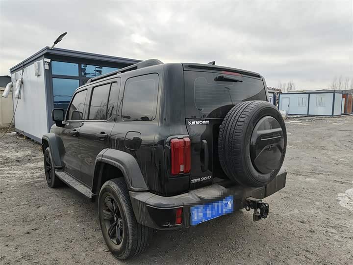 Фото 6 - Tank 300