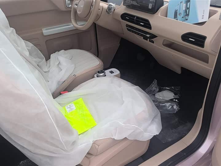 Фото 8 - Geely Galaxy Panda Mini