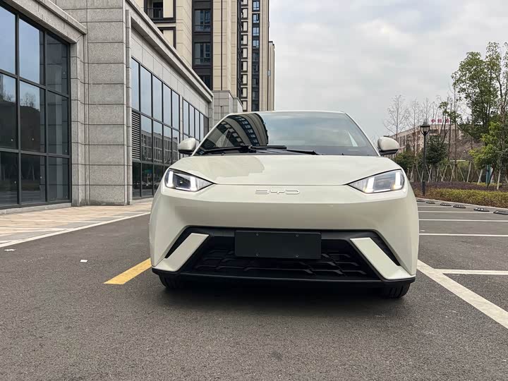 Фото 2 - BYD Seagull