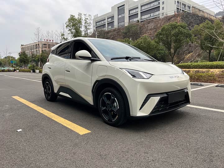 Фото 3 - BYD Seagull