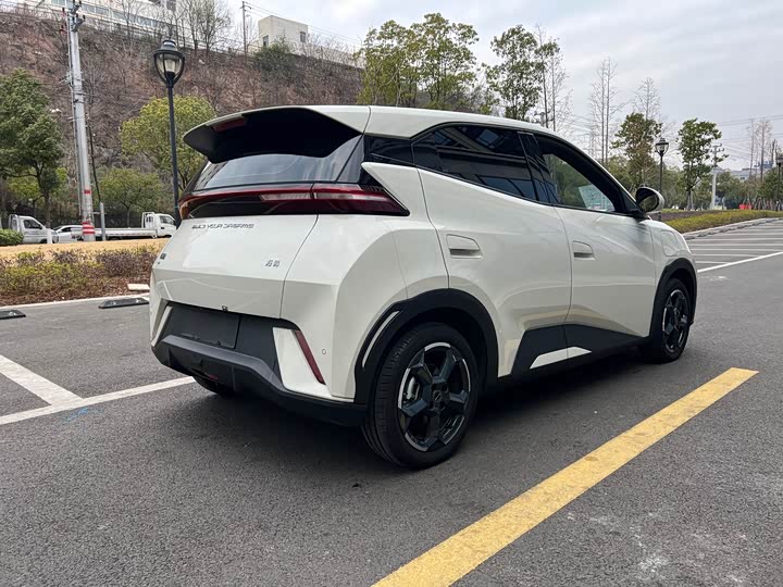 Фото 4 - BYD Seagull