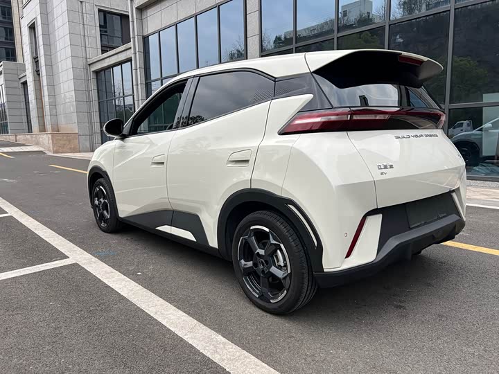 Фото 6 - BYD Seagull