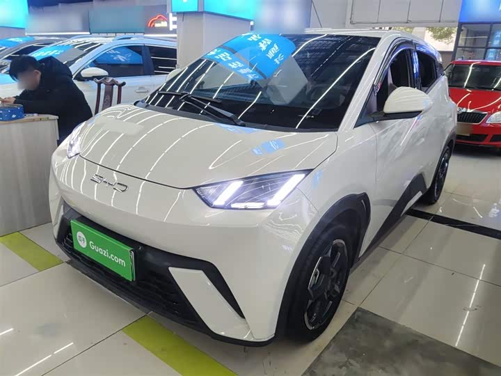 Фото 1 - BYD Seagull