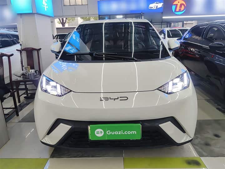 Фото 3 - BYD Seagull