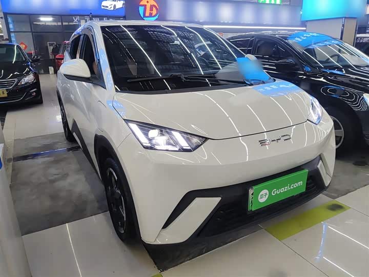 Фото 4 - BYD Seagull