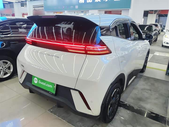 Фото 7 - BYD Seagull