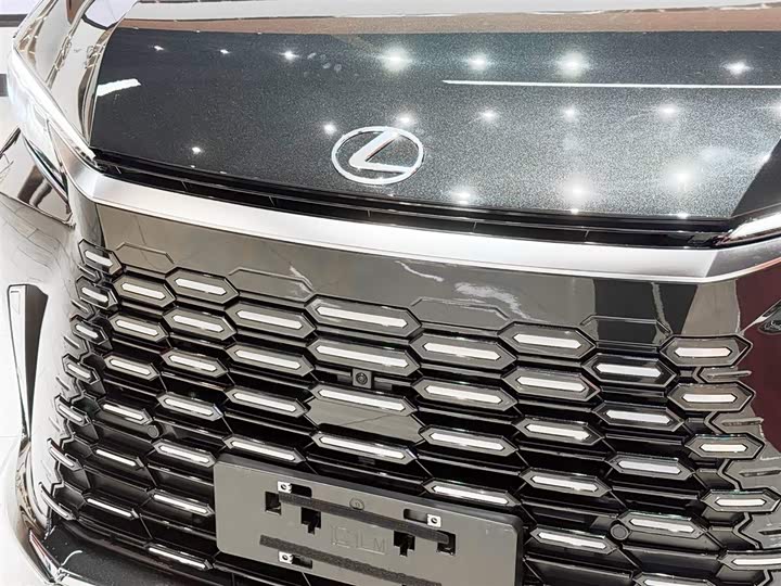 Фото 7 - Lexus LM