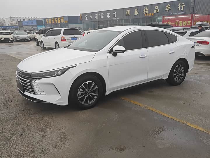 Фото 3 - BYD Destroyer 05