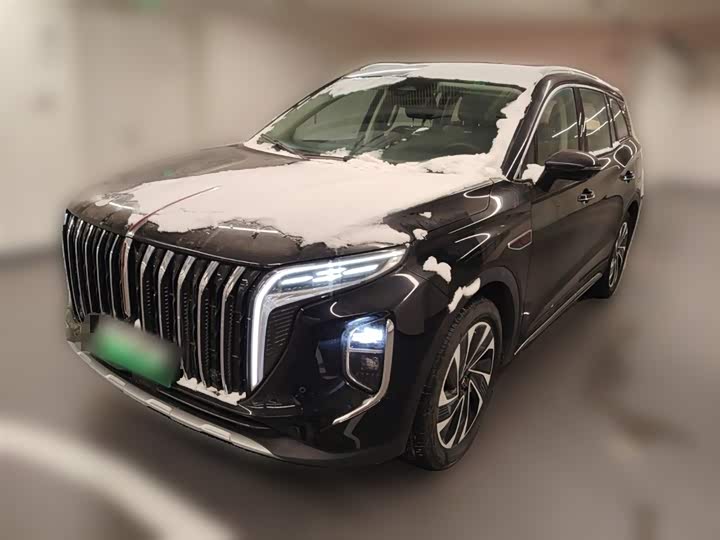 Фото 3 - Hongqi HS7 Hybrid