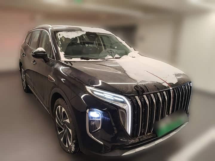 Фото 7 - Hongqi HS7 Hybrid