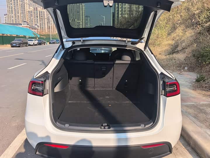 Фото 4 - Tesla Model Y