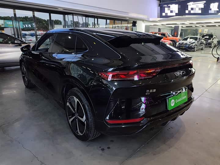 Фото 5 - BYD Song L